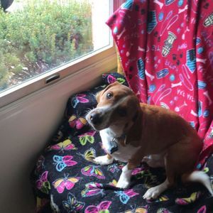 Meet your Posher, Lydia